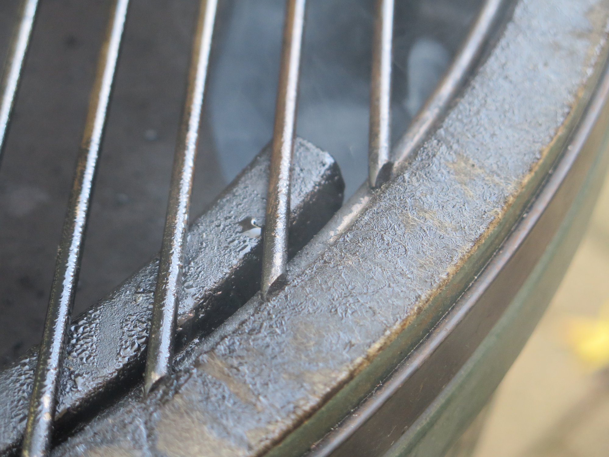 Image: https://us.v-cdn.net/5017260/uploads/editor/x1/khia7ni0nlm7.jpg