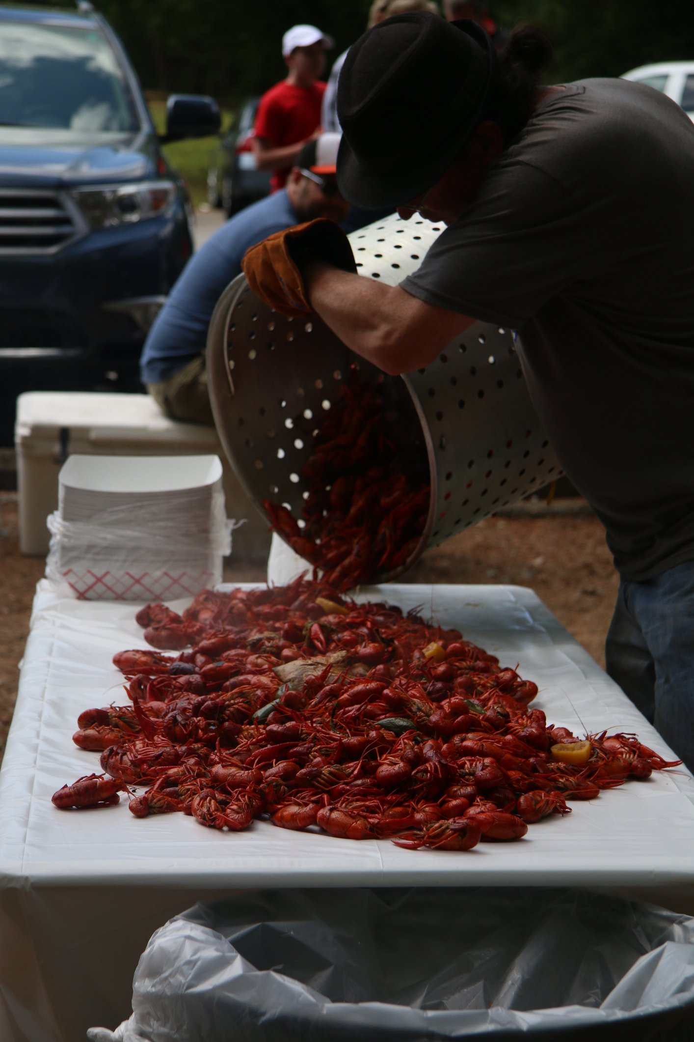 Image: https://us.v-cdn.net/5017260/uploads/editor/xc/wwkr2k7ssclb.jpg