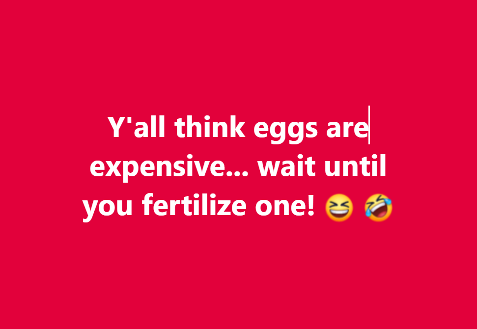 Image: https://us.v-cdn.net/5017260/uploads/editor/xi/56kpebg6dbh0.png