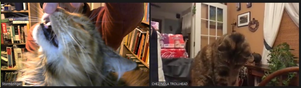 Image: https://us.v-cdn.net/5017260/uploads/editor/xn/2xa9ocxq4bgd.jpg