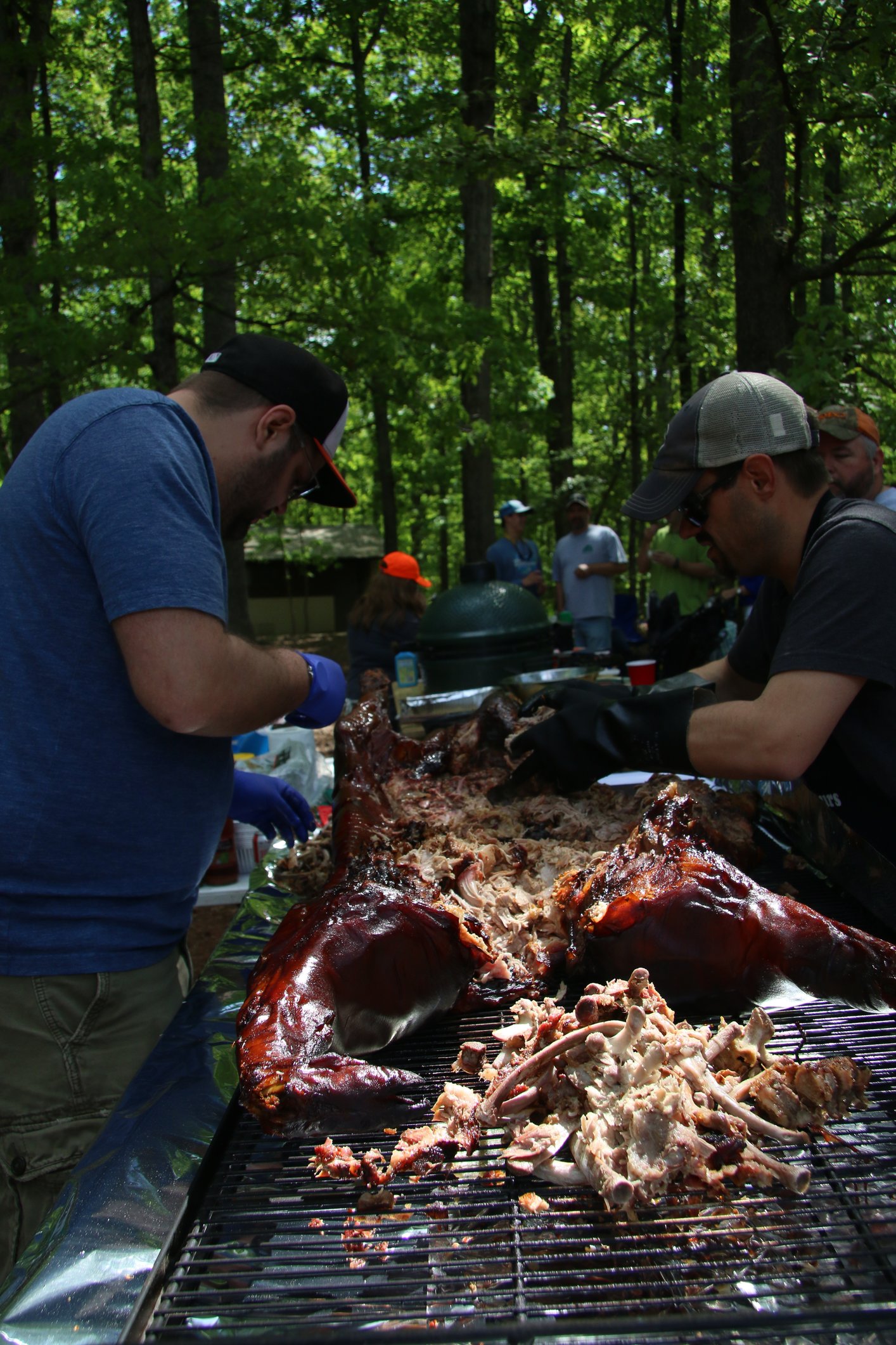 Image: https://us.v-cdn.net/5017260/uploads/editor/xv/algn7e4nrc7d.jpg