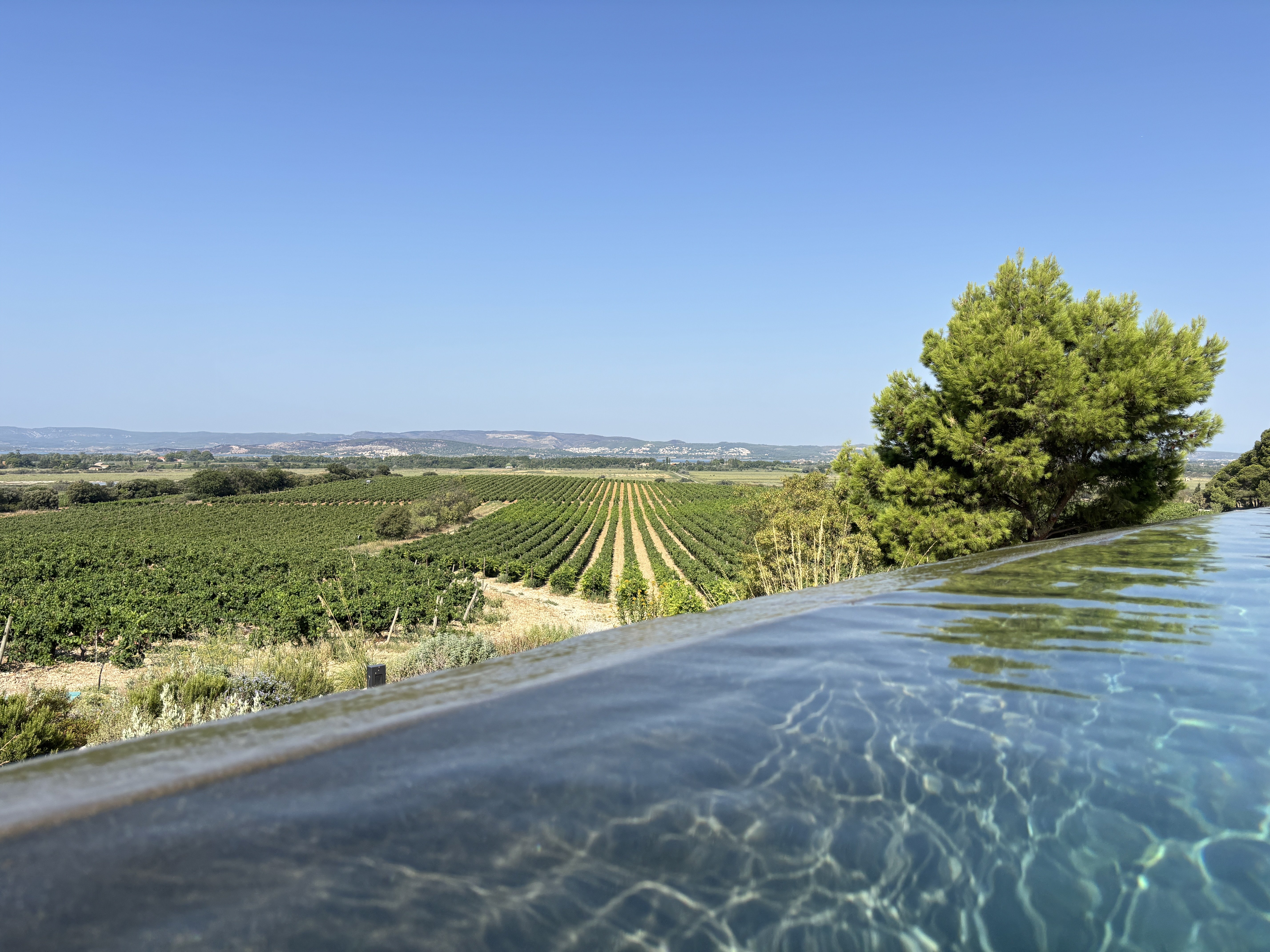 Image: https://us.v-cdn.net/5017260/uploads/editor/y4/220lk495irf2.jpeg