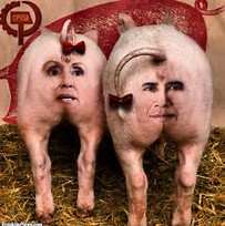 Image: https://us.v-cdn.net/5017260/uploads/editor/yh/ddfbf25anbv0.png