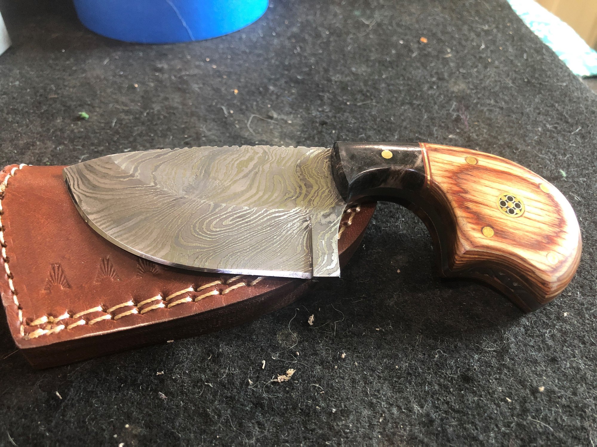 Image: https://us.v-cdn.net/5017260/uploads/editor/zr/mjhwbeoc6tri.jpg