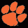 ClemsonDV