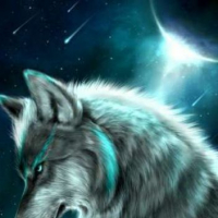 LoneWolfRogue