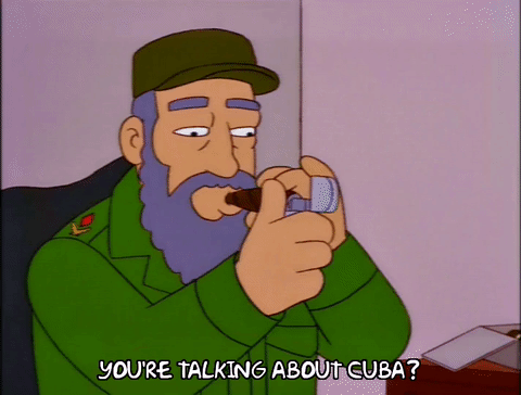 g9zr32fadwh7.gif