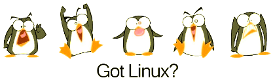 vs7kylv75ey6.png