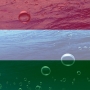 Elfnet