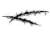 a_civilian