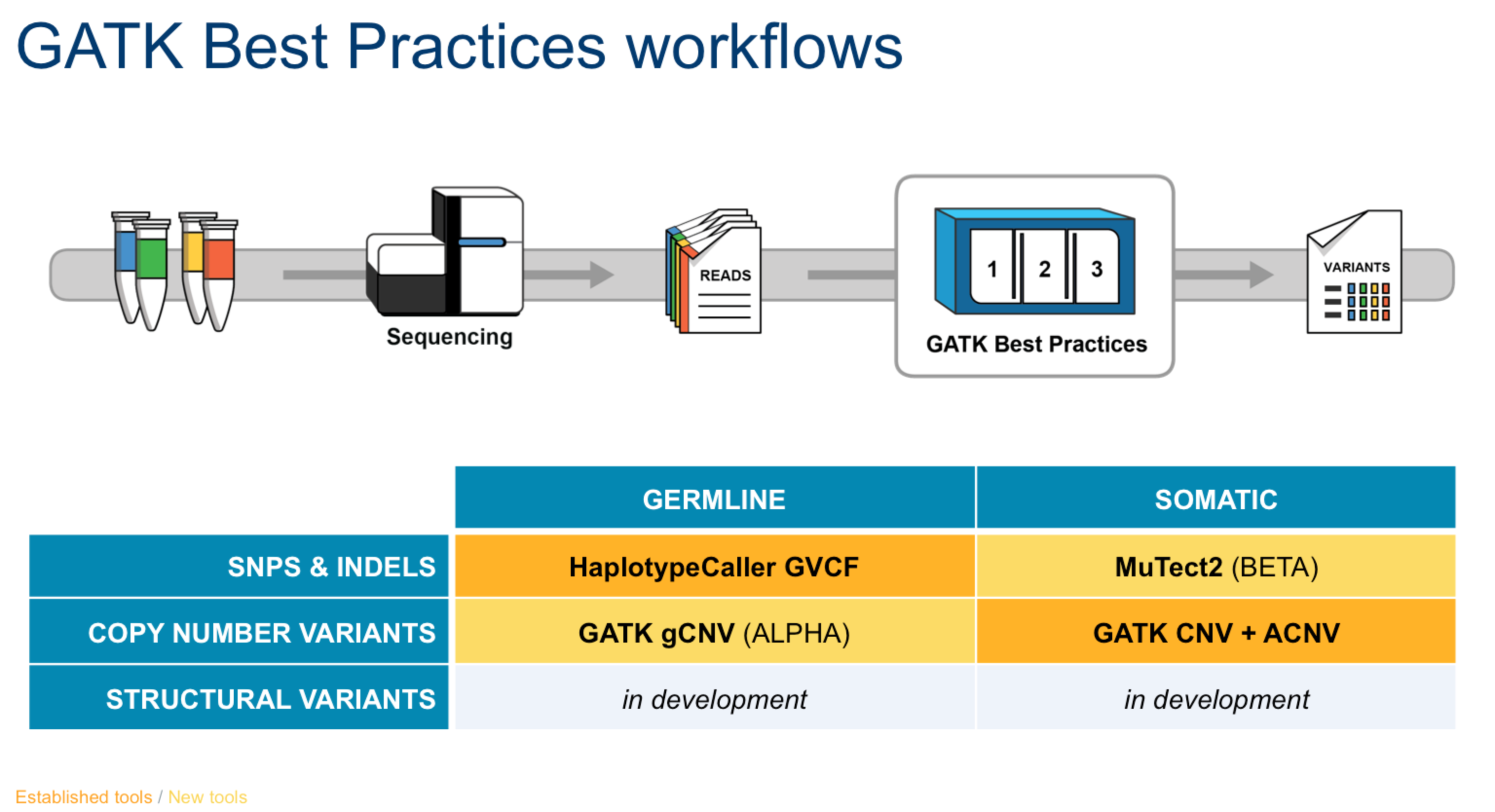 GATK. Copy number variants.