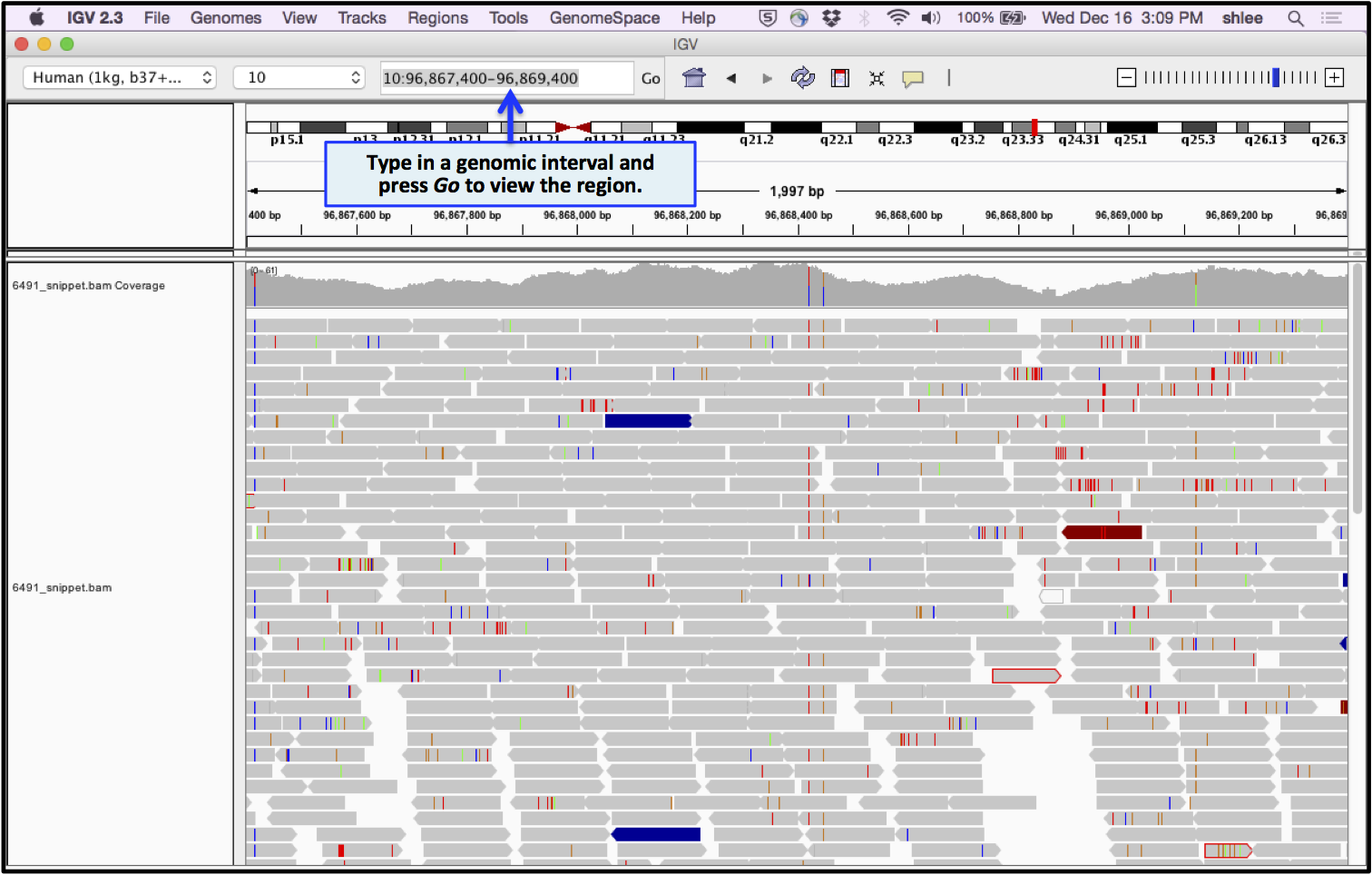 download patrologiae