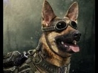 Survivor Hero Max War Commander