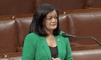 IMG_1819.gif