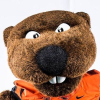 BennyBeaver