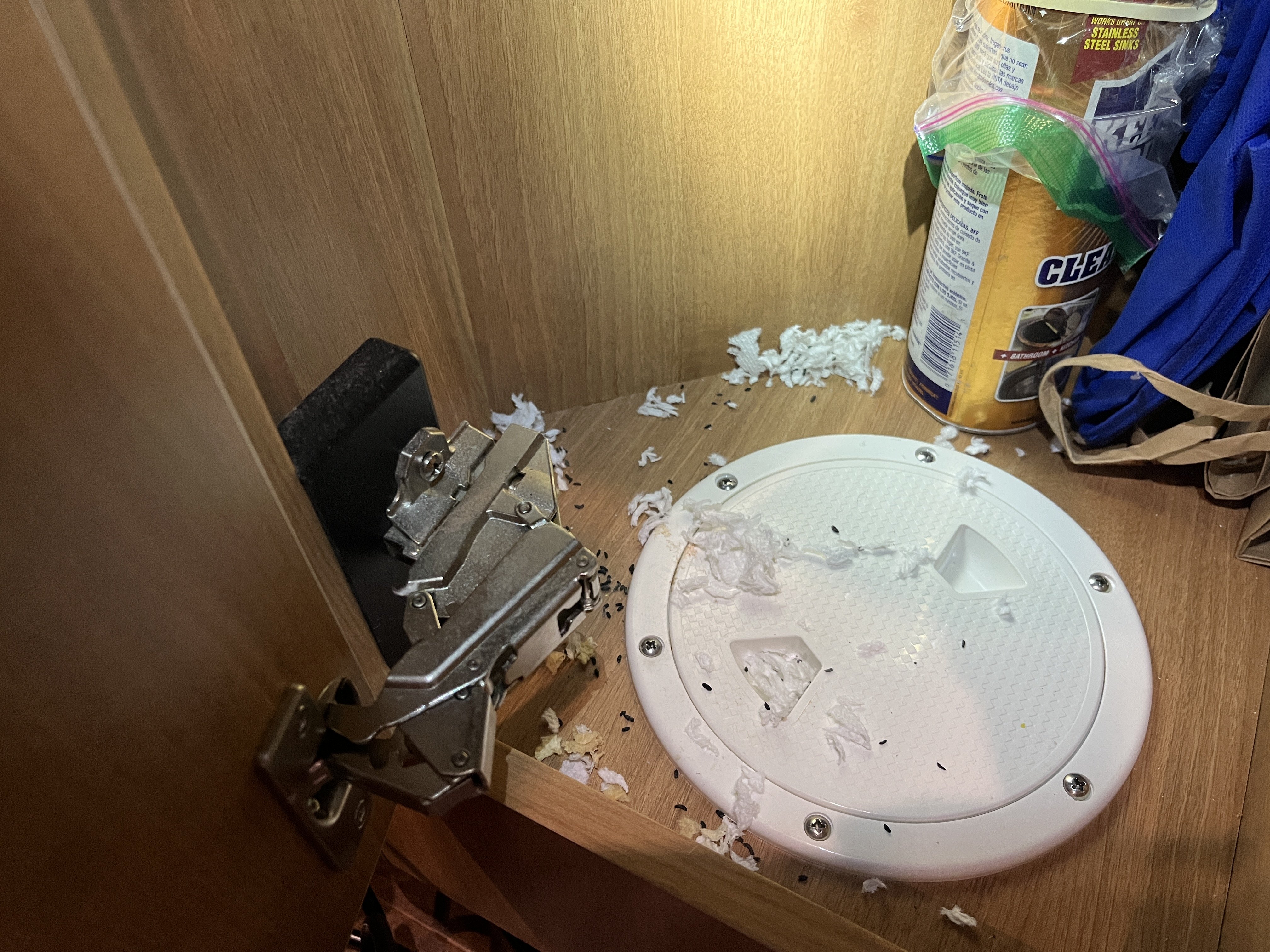 Image: https://us.v-cdn.net/5020499/uploads/editor/n7/bbk1frkz1lpc.jpg