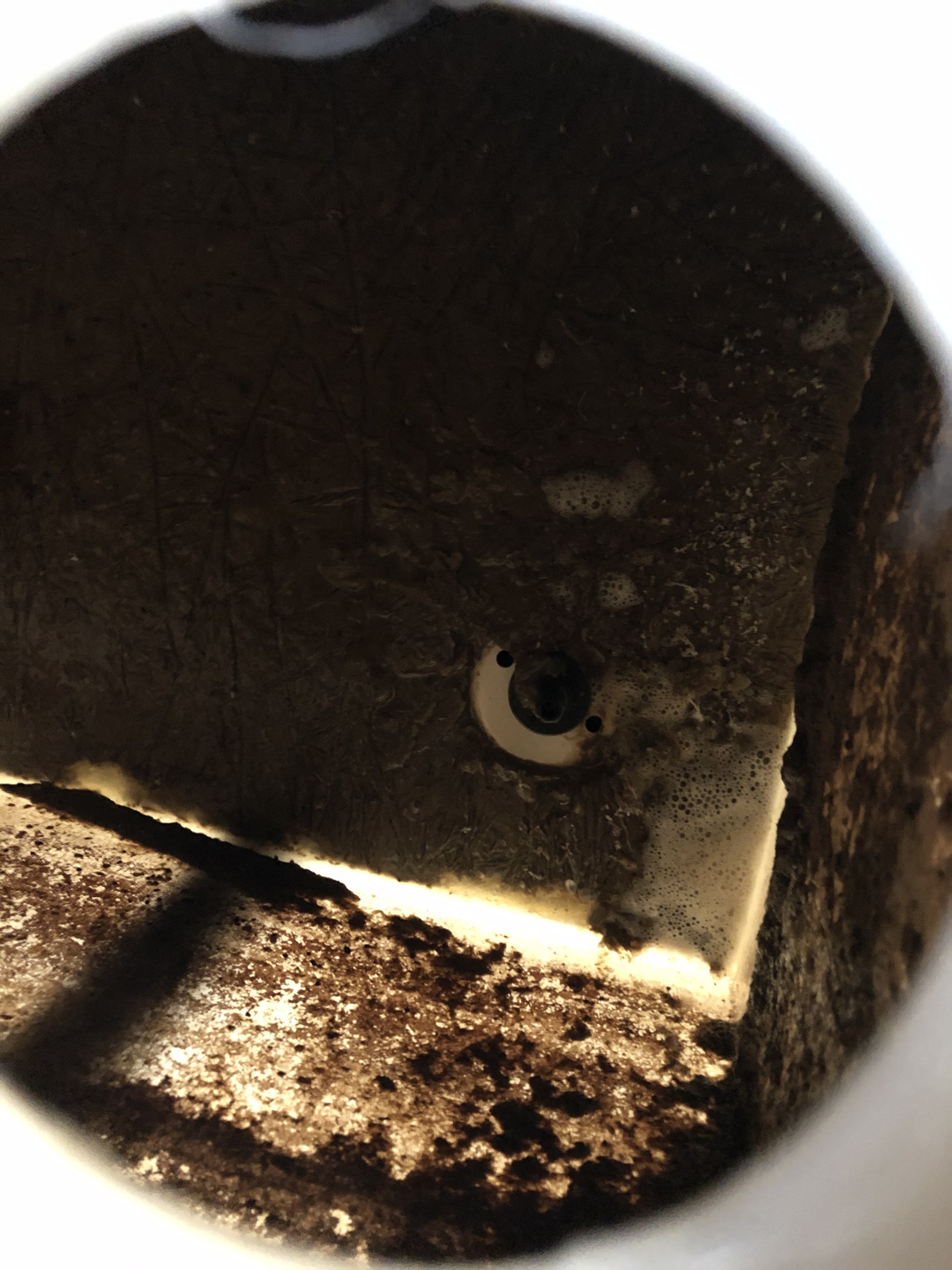 Image: https://us.v-cdn.net/5020499/uploads/editor/zl/haymkg62ntpq.jpeg