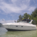 04FV270riverrat