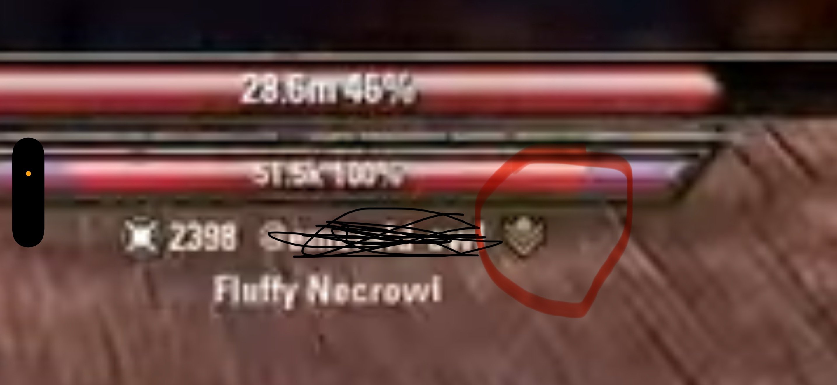 p8im2lcm5dvn.jpeg