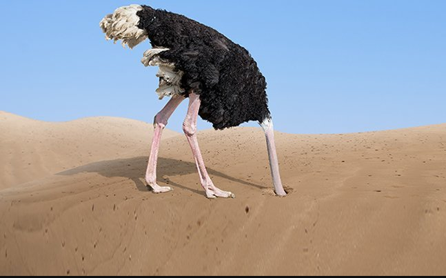 0hcq53uzb1tg.png