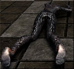 dpqt6tii19xm.jpg