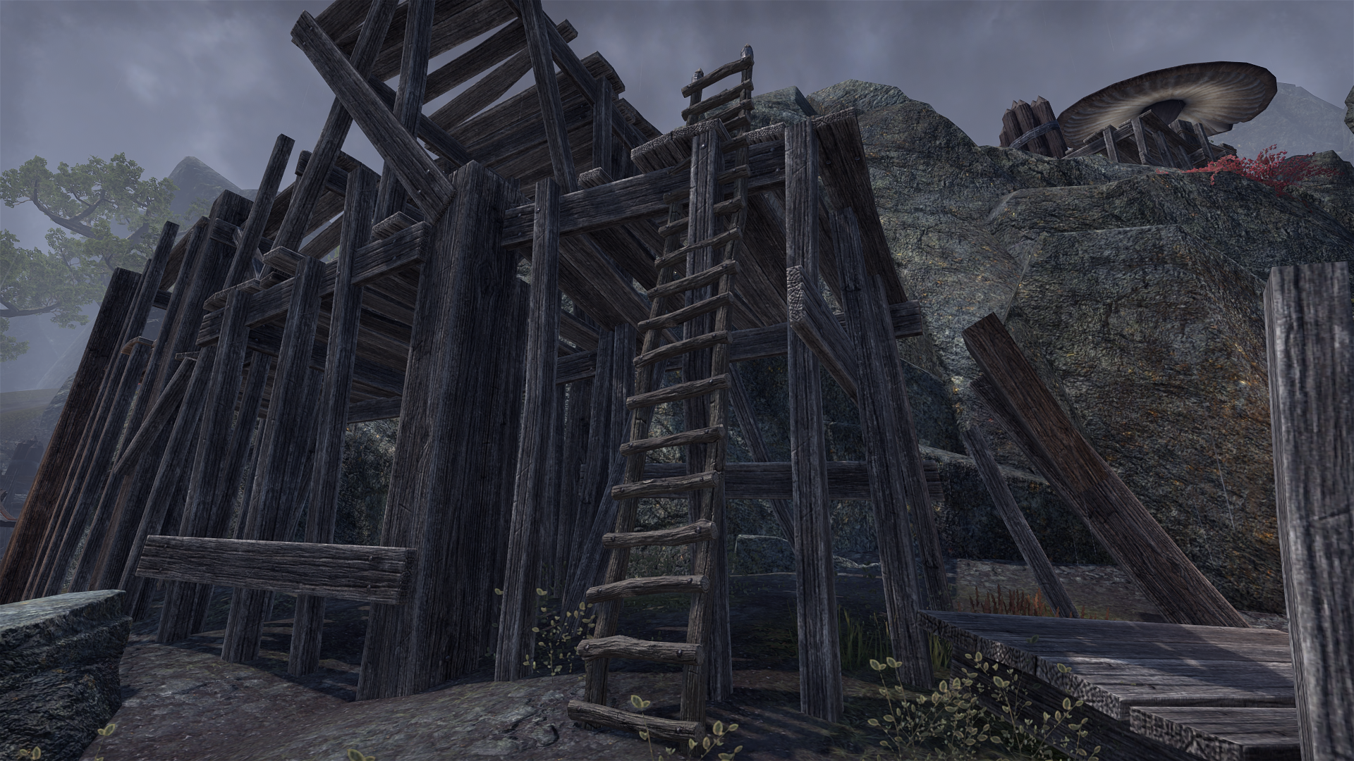 nlnb6171mv5w.png