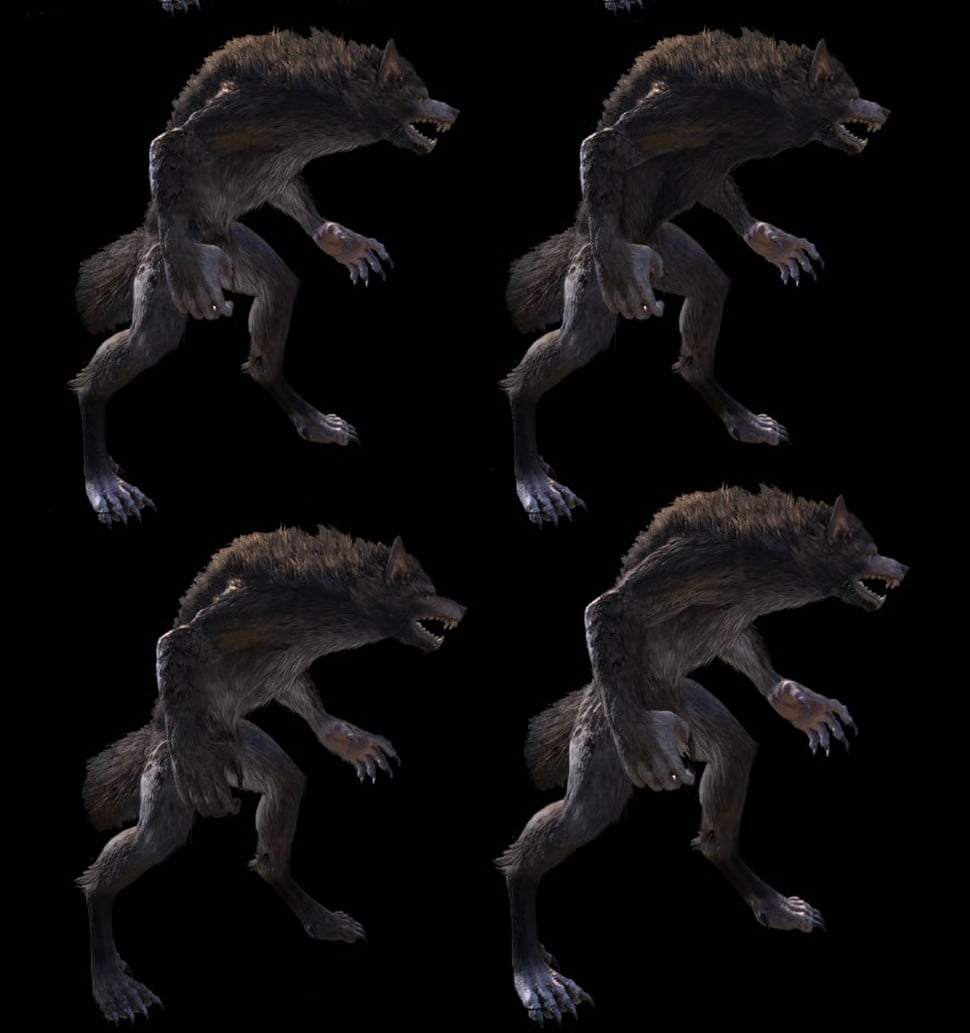 jmn4gxicxph5.jpg