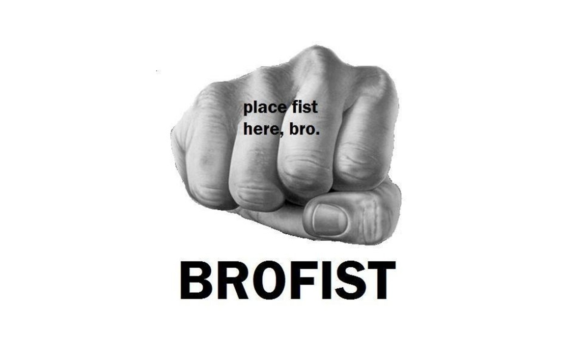 pw0e5c9ydhw8.jpeg