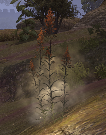 fgwd1ygciaen.png