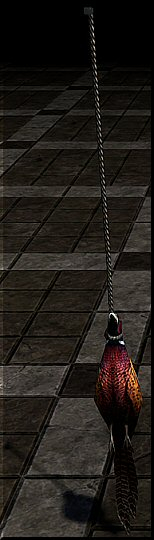 69c23zsqlcr2.jpg