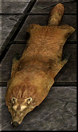 2tkte6rjyx9h.jpg