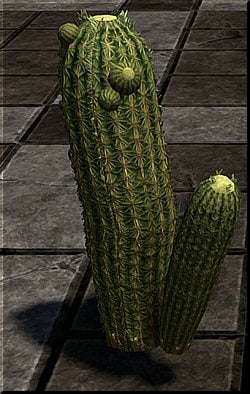 z8g8g157mkdk.jpg