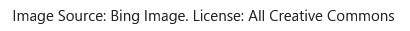 zv5rikiytwjm.png