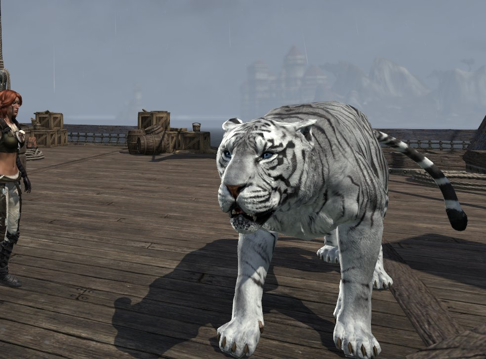 Official Player Khajiit Furstock Elder Scrolls Online