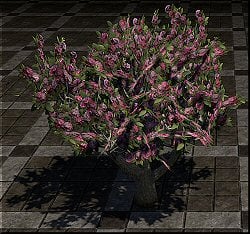 v1rri5tfdy70.jpg