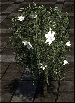 7v8xfep1d76k.jpg