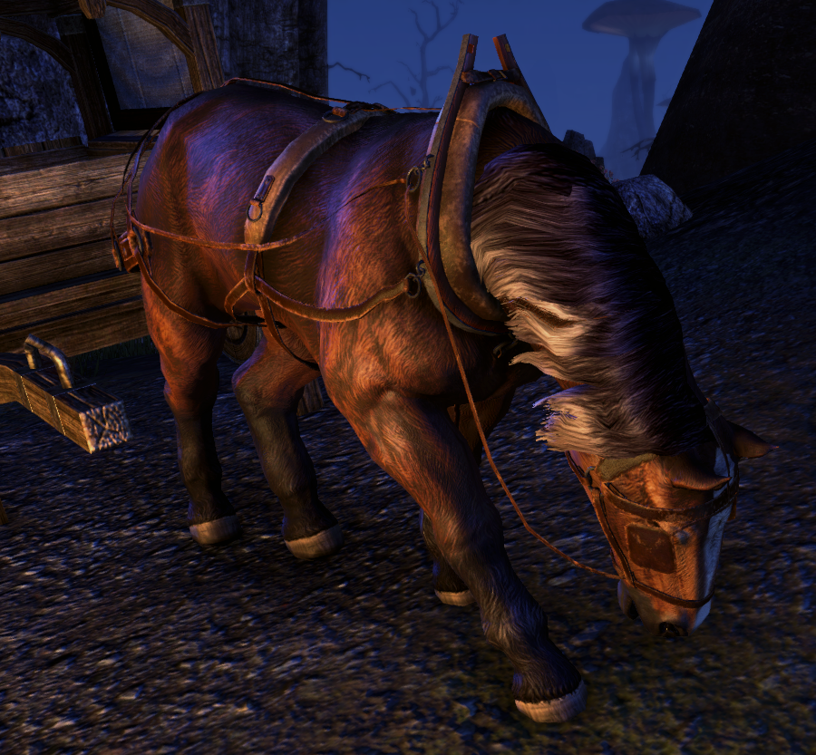 Can we have more of this horse — Elder Scrolls Online