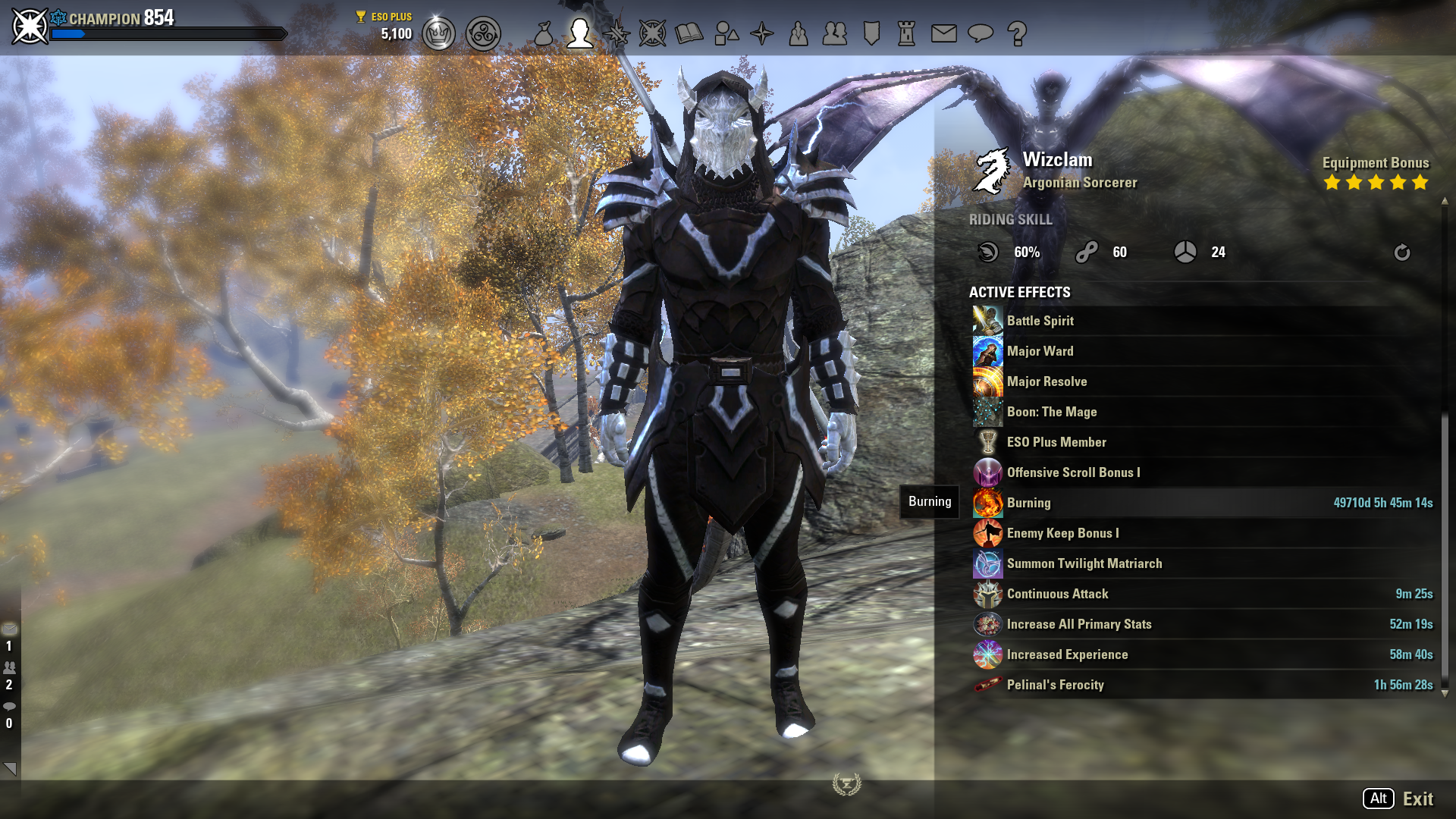 Infinite Burning Status Effect — Elder Scrolls Online