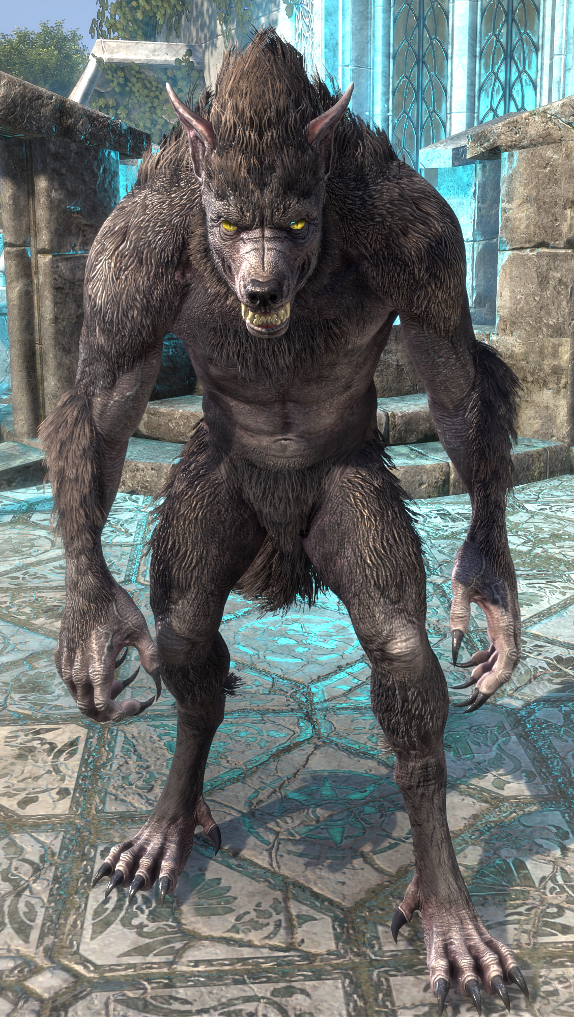 bdq5gpi8q5jh.png