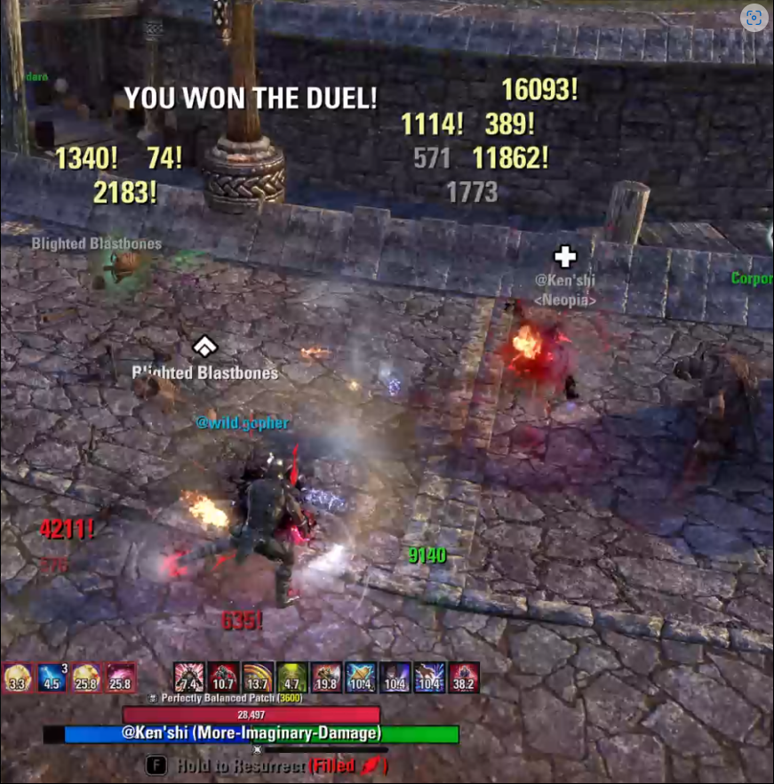 mnk1q06pptal.png