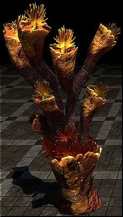 vdkylz6el7we.jpg