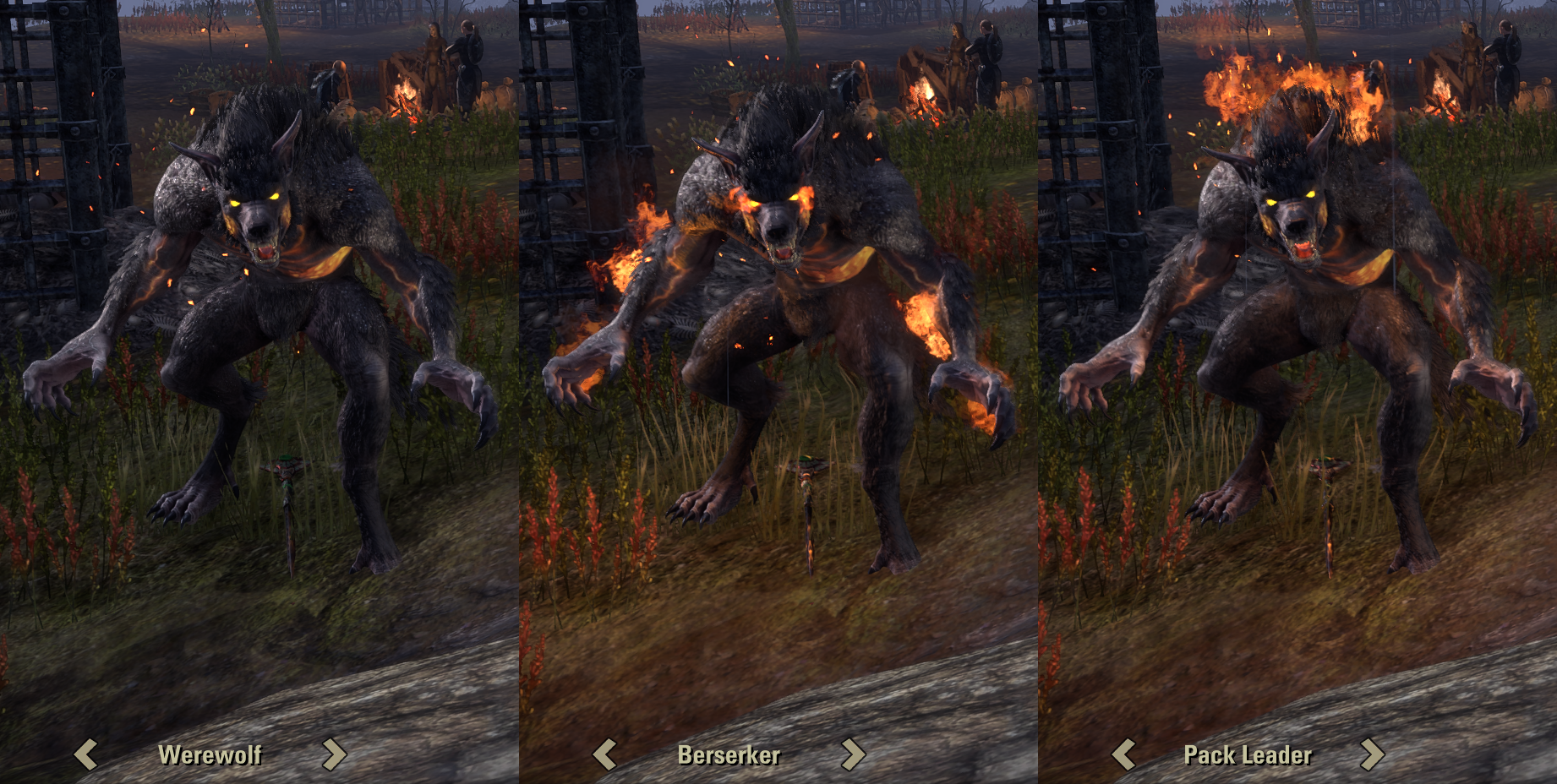 av9v6d6cwyrk.png