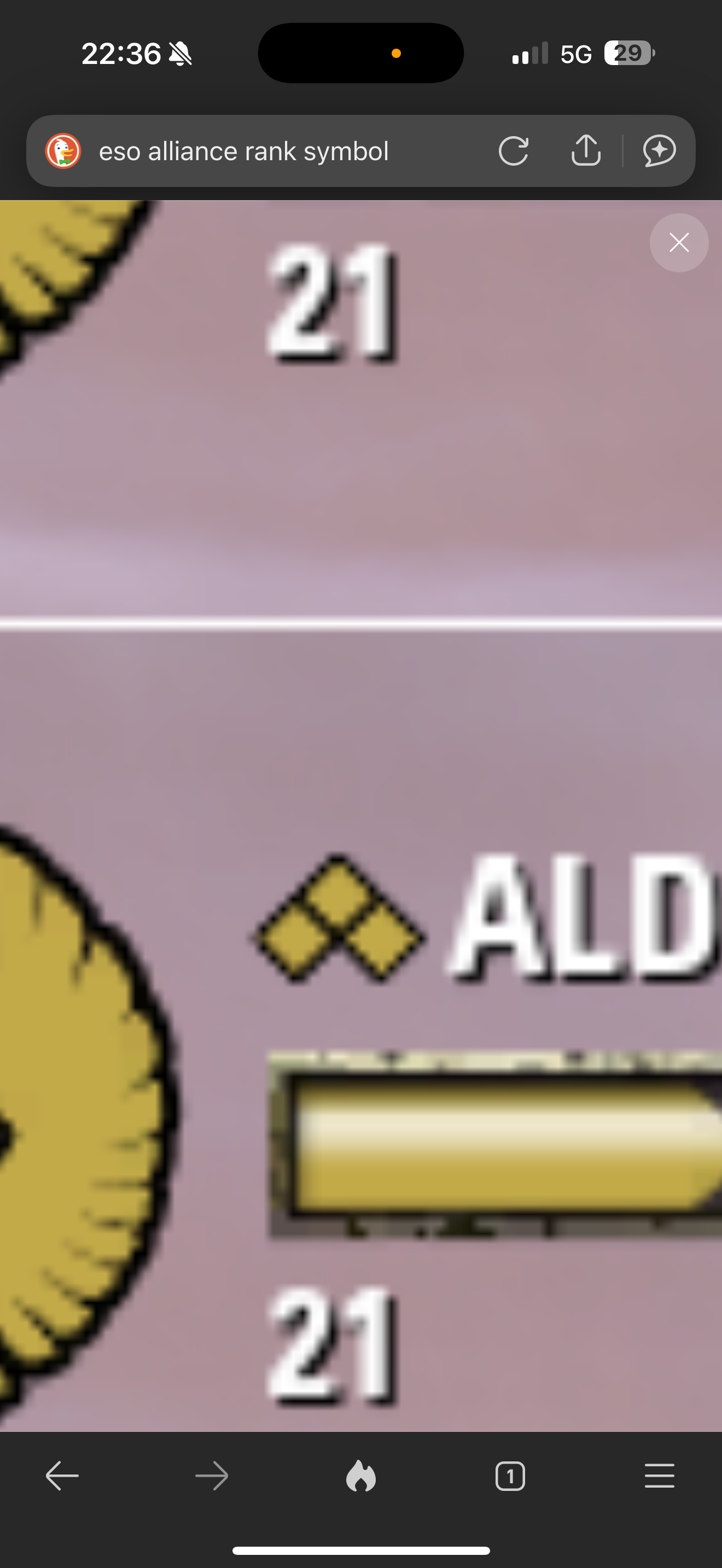 exz2vj1yflua.png