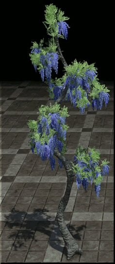 m5aqggk8e9c2.jpg