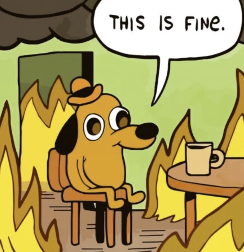 sovdi498rnuk.jpeg