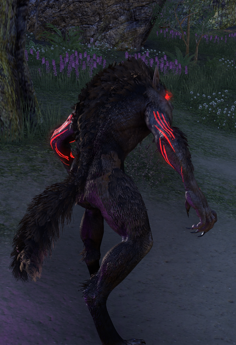 ni99d1i7bxit.png