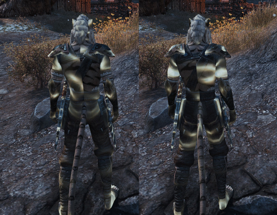 Visual bug when using certain buffs — Elder Scrolls Online
