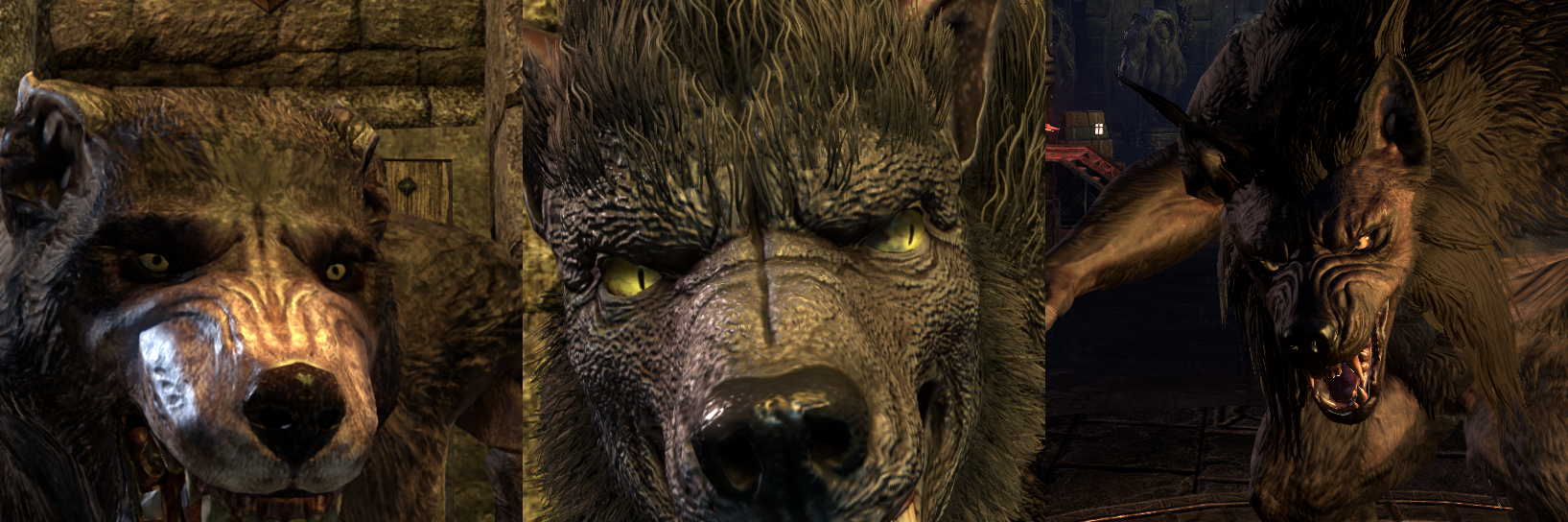 spq7luegb5e5.png