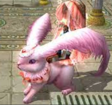 5z4drcn6eyeh.png