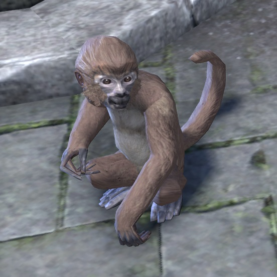 djnr8bpmfuus.png